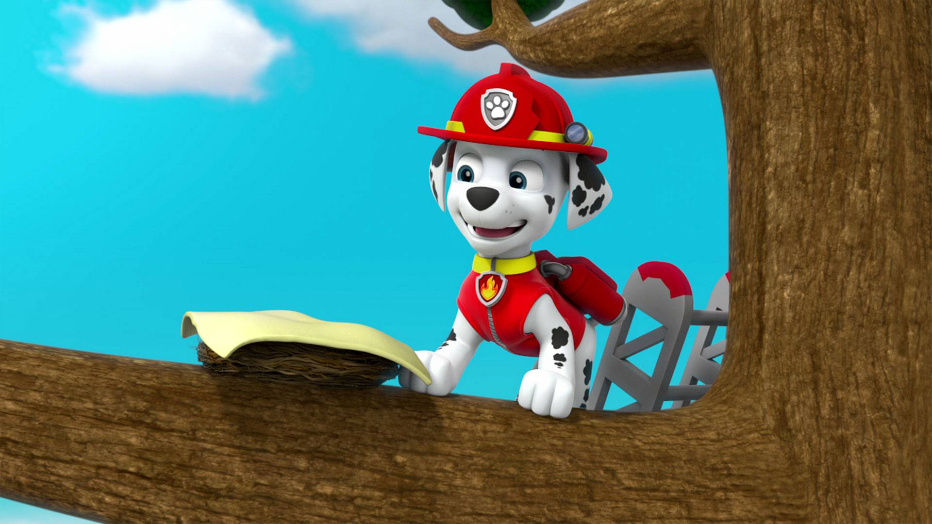 Paw Patrol S03 B12