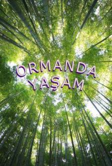 Ormanda Yaşam